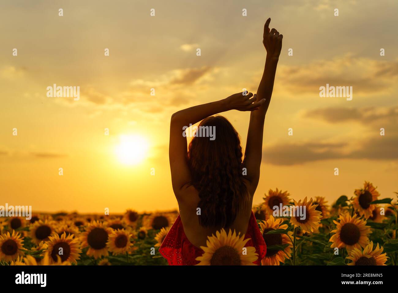 silhouette beautiful young woman in a red dress at sunset posing in a field  of sunflowers, against the sky Stock Photo - Alamy