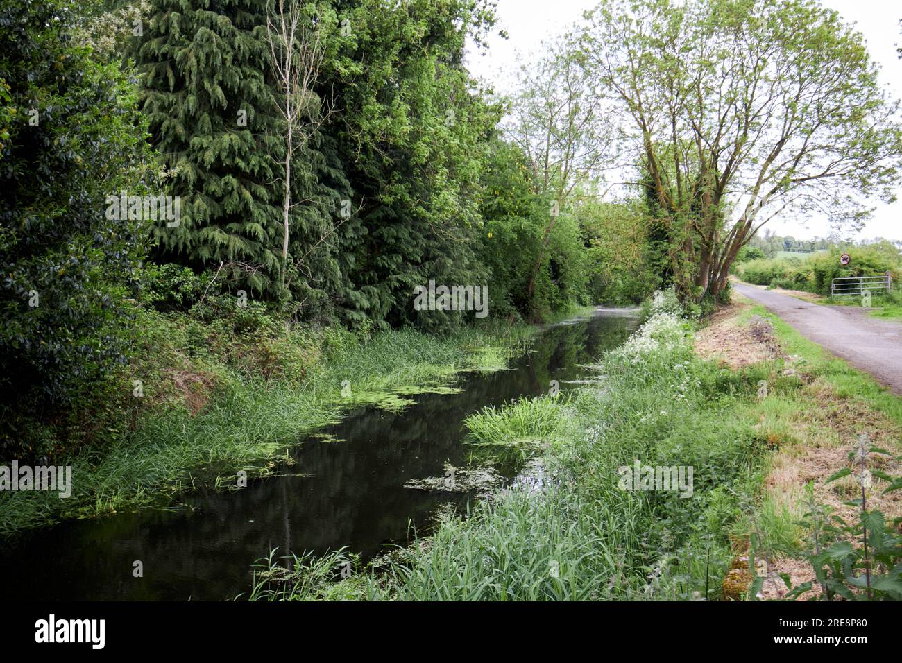 Inland section of the Newry Canal outside Scarva Stock Photo