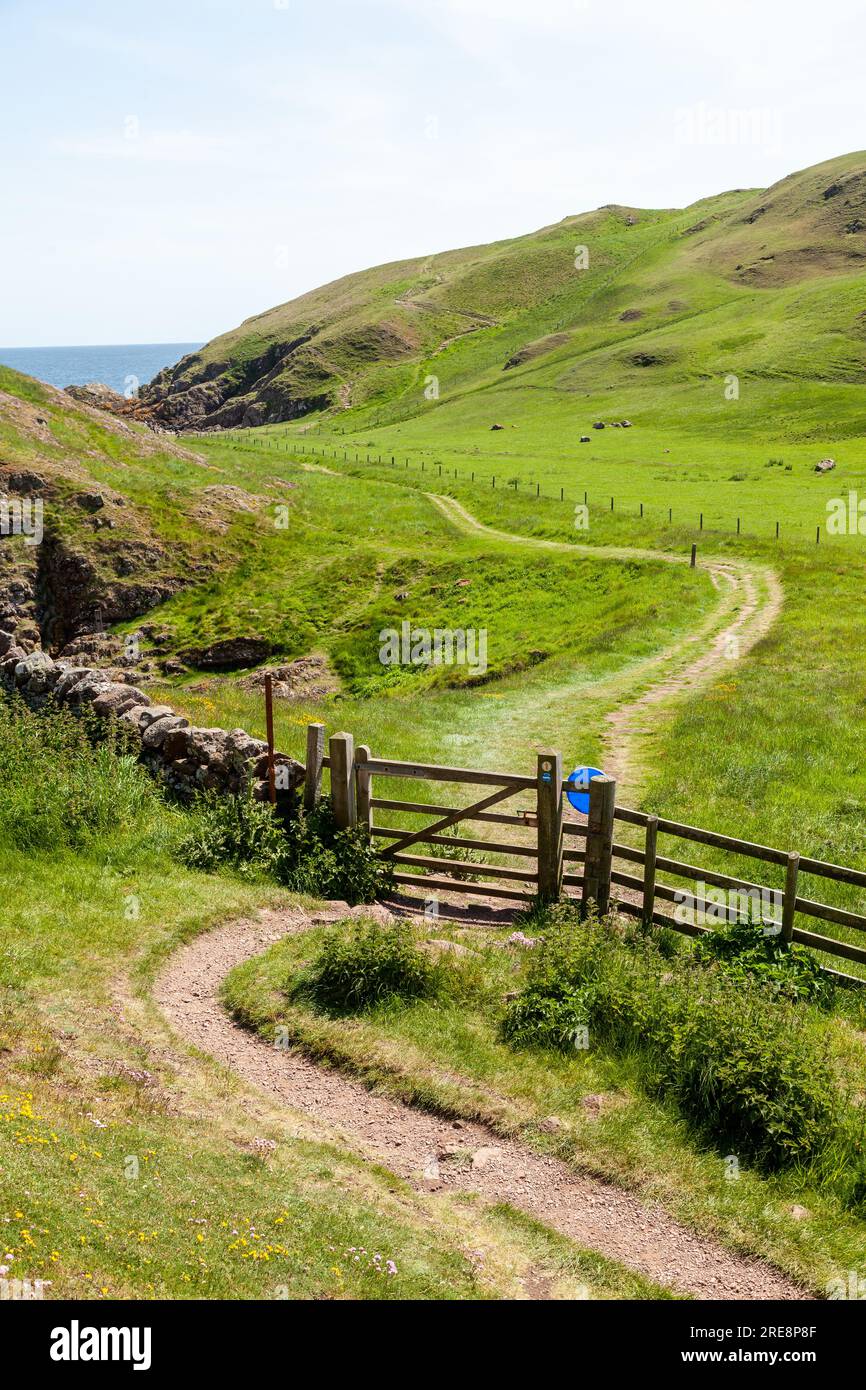 Berwickshire Coast Path at St Abbs Head in the Scottish Borders Stock