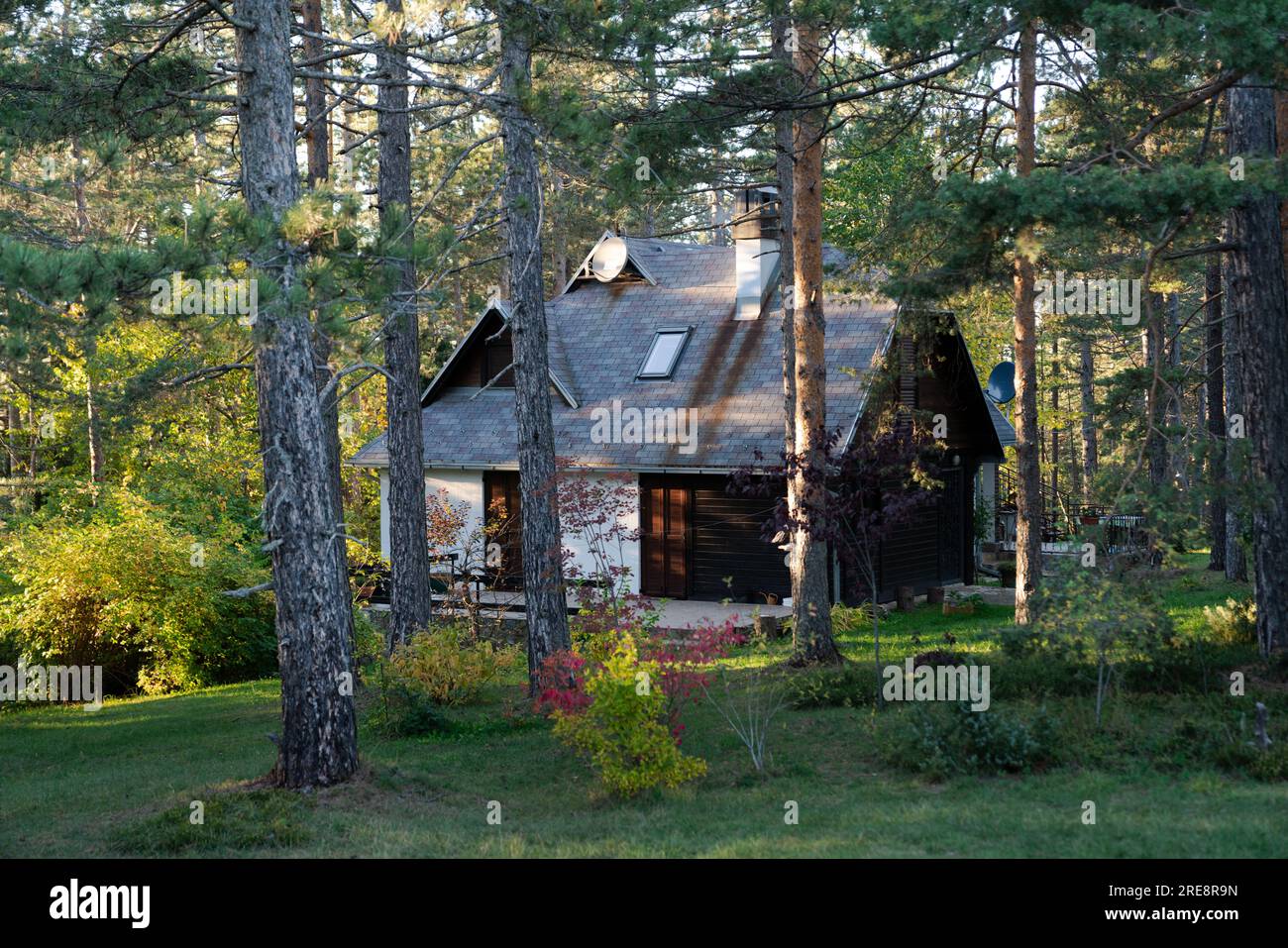 Summer villa house in forest hi-res stock photography and images - Alamy