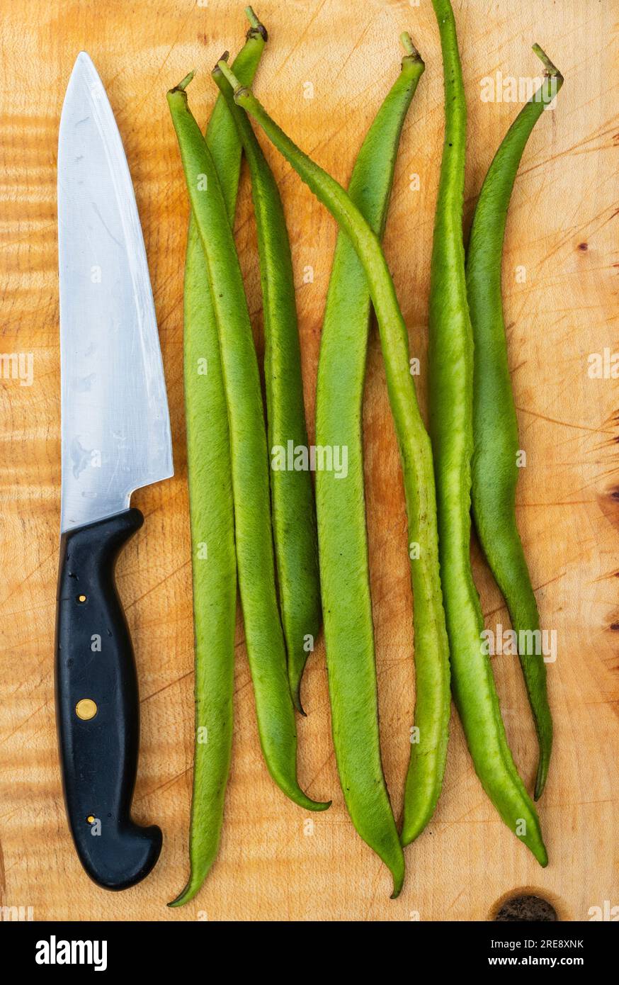 Home grown runner bean, Phaseolus coccineus 'Enorma' ready for slicing on a chopping board Stock Photo