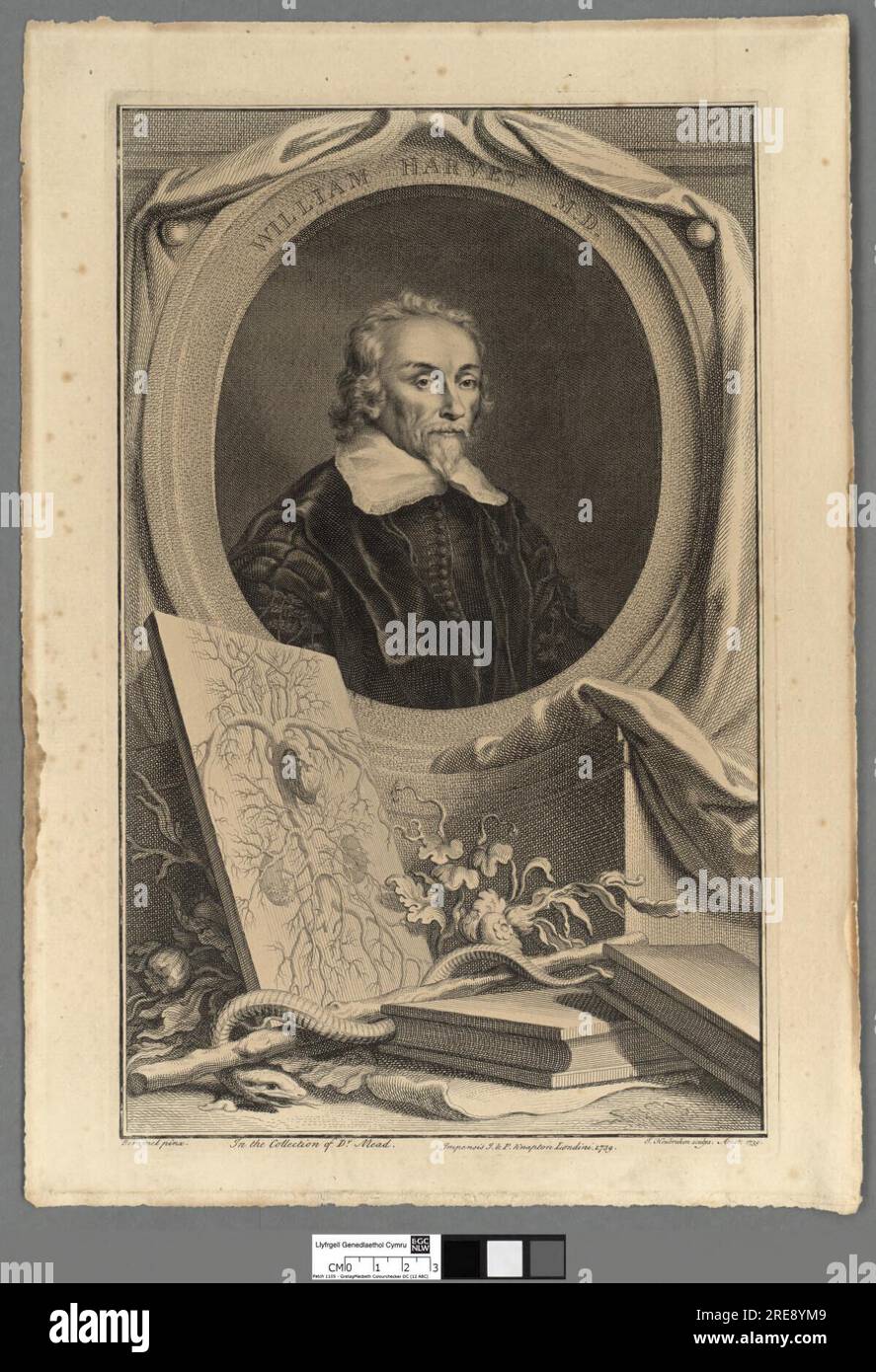 William harvey m hi-res stock photography and images - Alamy