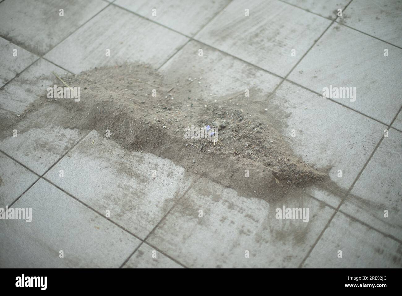 Dust on tiles. Sand cleaning. Swept away garbage. Floor cleaning Stock