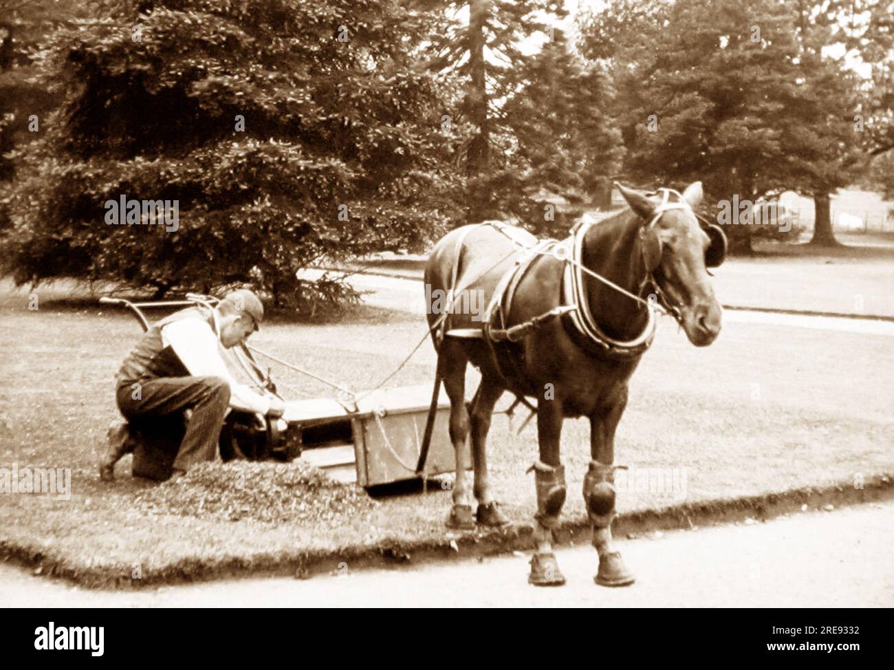 Horse mower hires stock photography and images Alamy