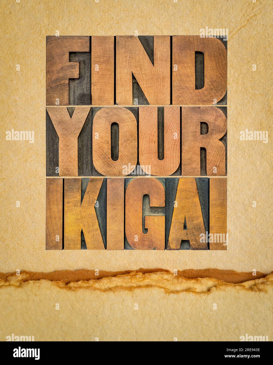 find your ikigai word abstract in letterpress wood type on art paper Japanese concept of a