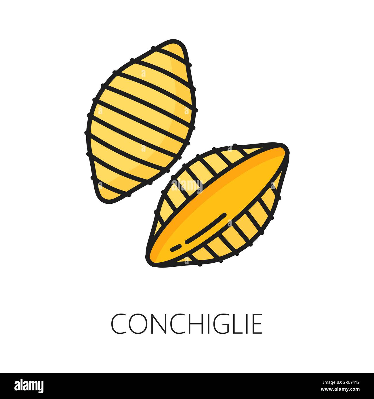 Conchiglie pasta uncooked dried Italian cuisine food. Vector raw