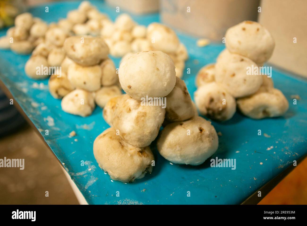 The chuño is simply dehydrated potato in order to extend its useful