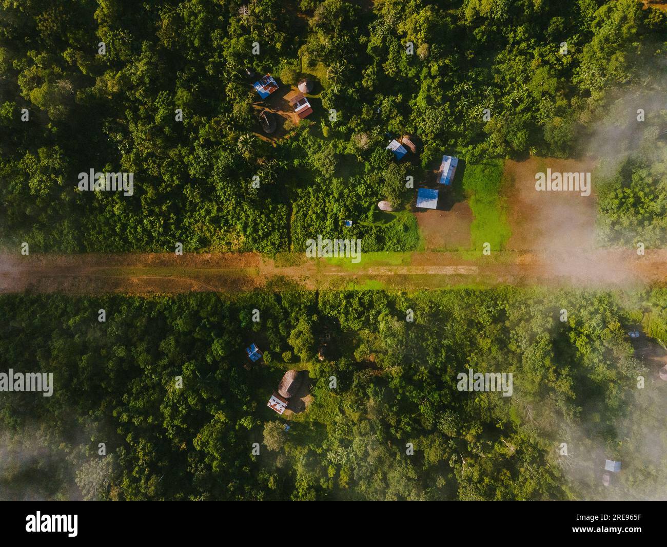 Aerial view of green forest with trees and small houses in village ...