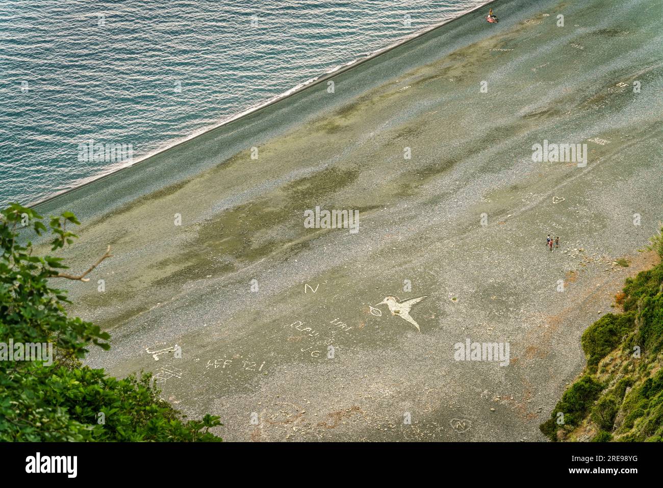 Strand von Nonza, Vogel aus Muscheln, Cap Corse,  Korsika, Frankreich, Europa Stock Photo