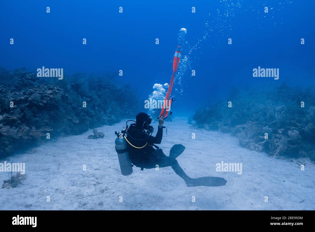 Side view of scuba diver underwater with bubbles and looking away while throwing emergency exit signaling in deep clear sea during diving tour in Canc Stock Photo