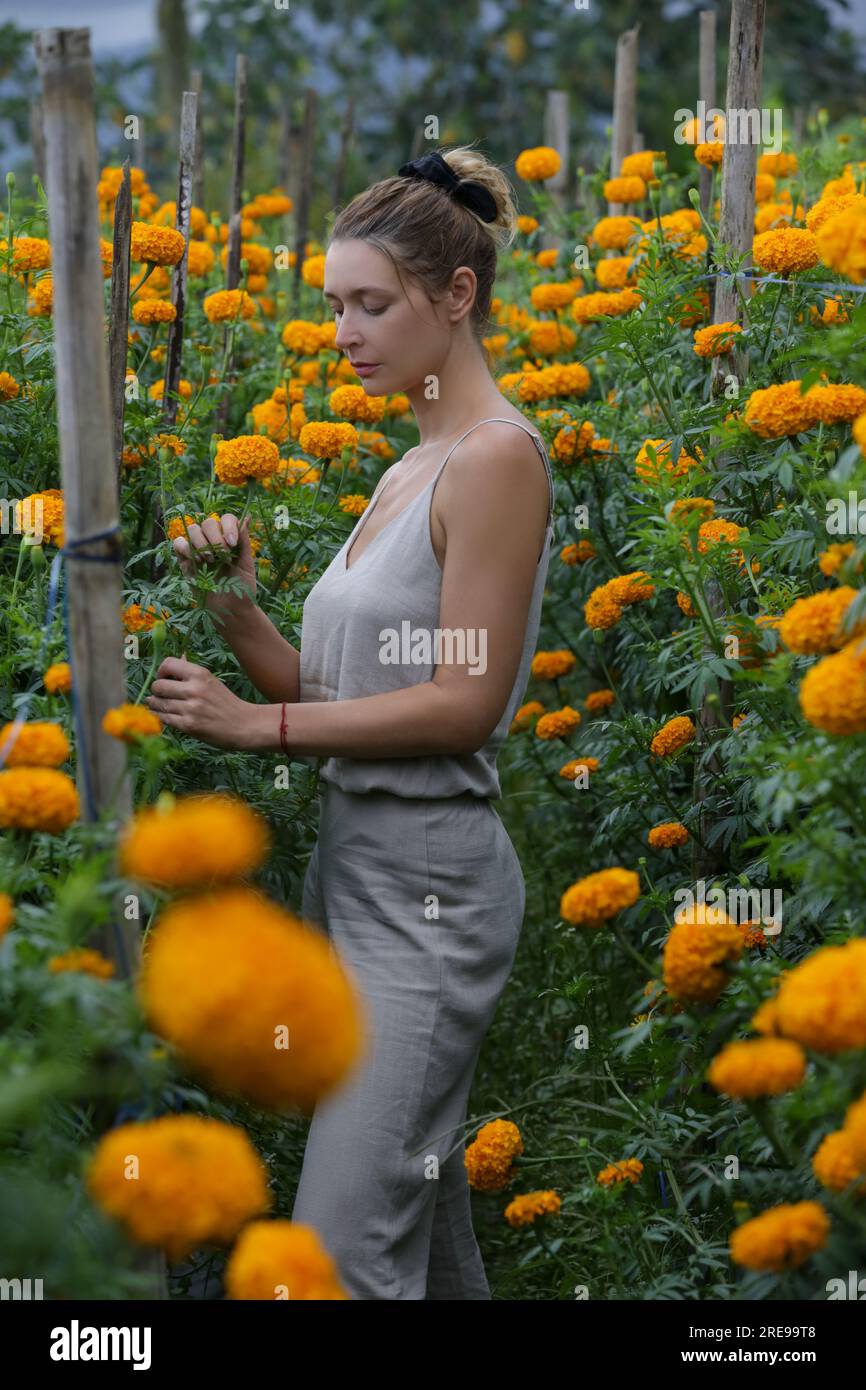 Portrait of Caucasian tourist woman in field of Marigold Tagetes in bloom in Island of Bali Stock Photo