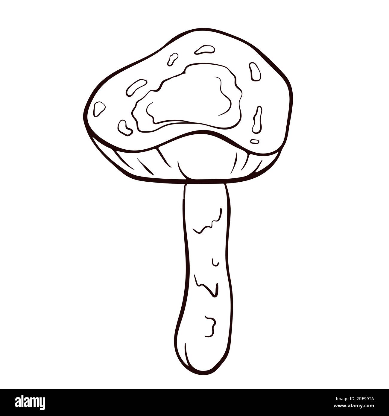 Inedible mushroom Deadly Dapperling black and white in line art style. Poisonous Lepiota brunneoincarnata hand drawn. Vector illustration isolated on Stock Vector