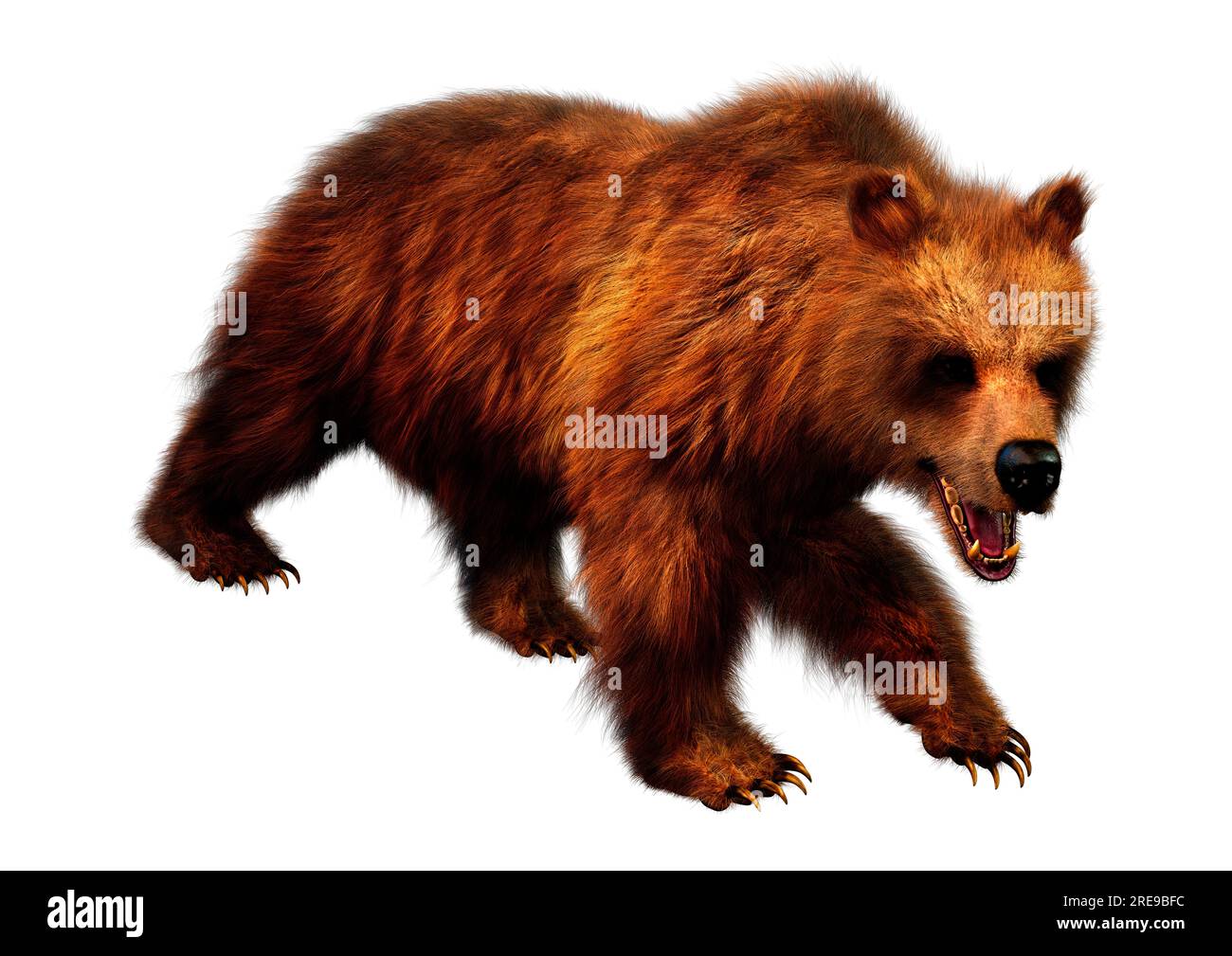 3D rendering of a brown bear isolated on white background Stock Photo ...