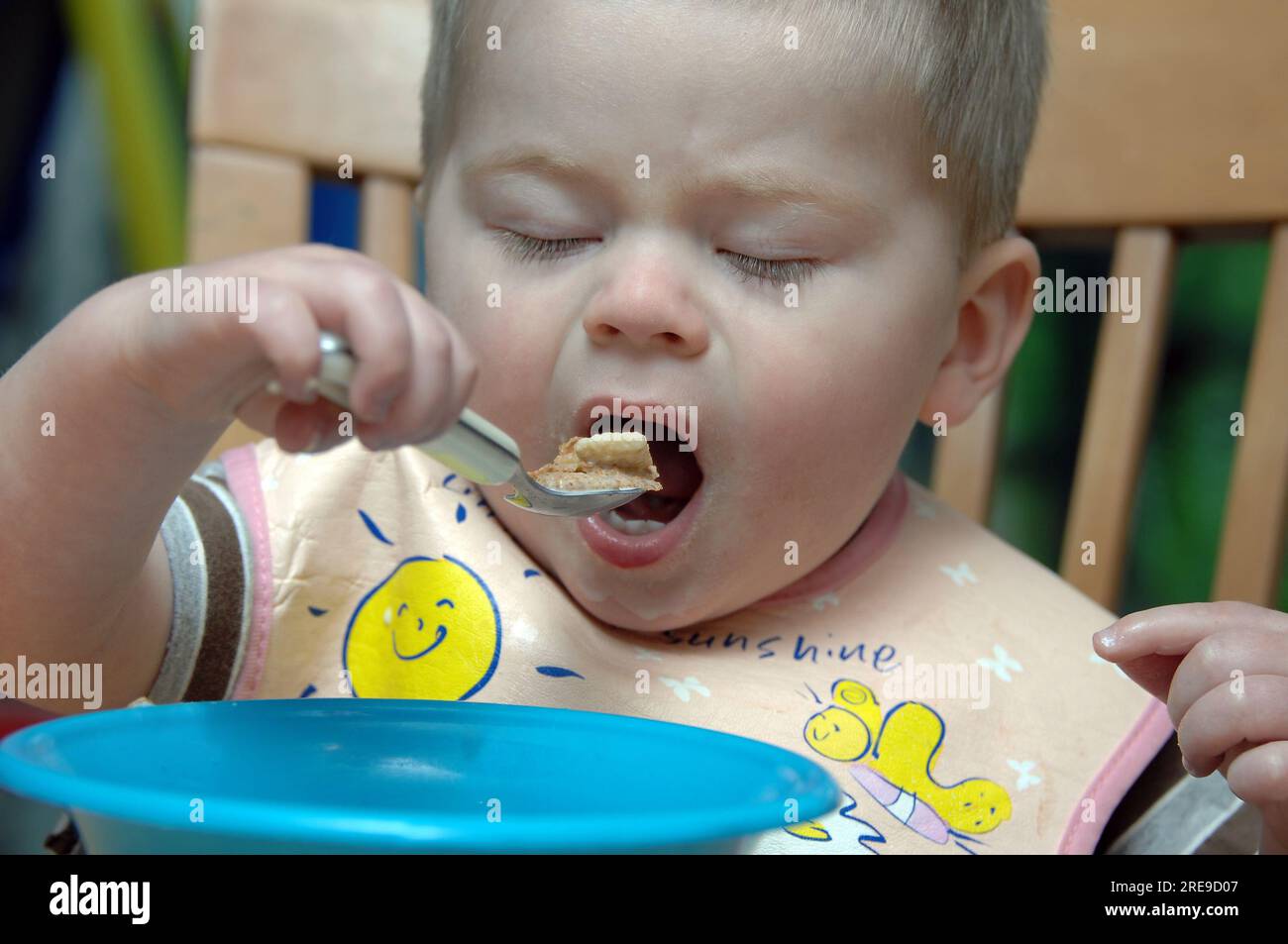 Hungry little boy scoops cereal into his wide open mouth. He is wearing