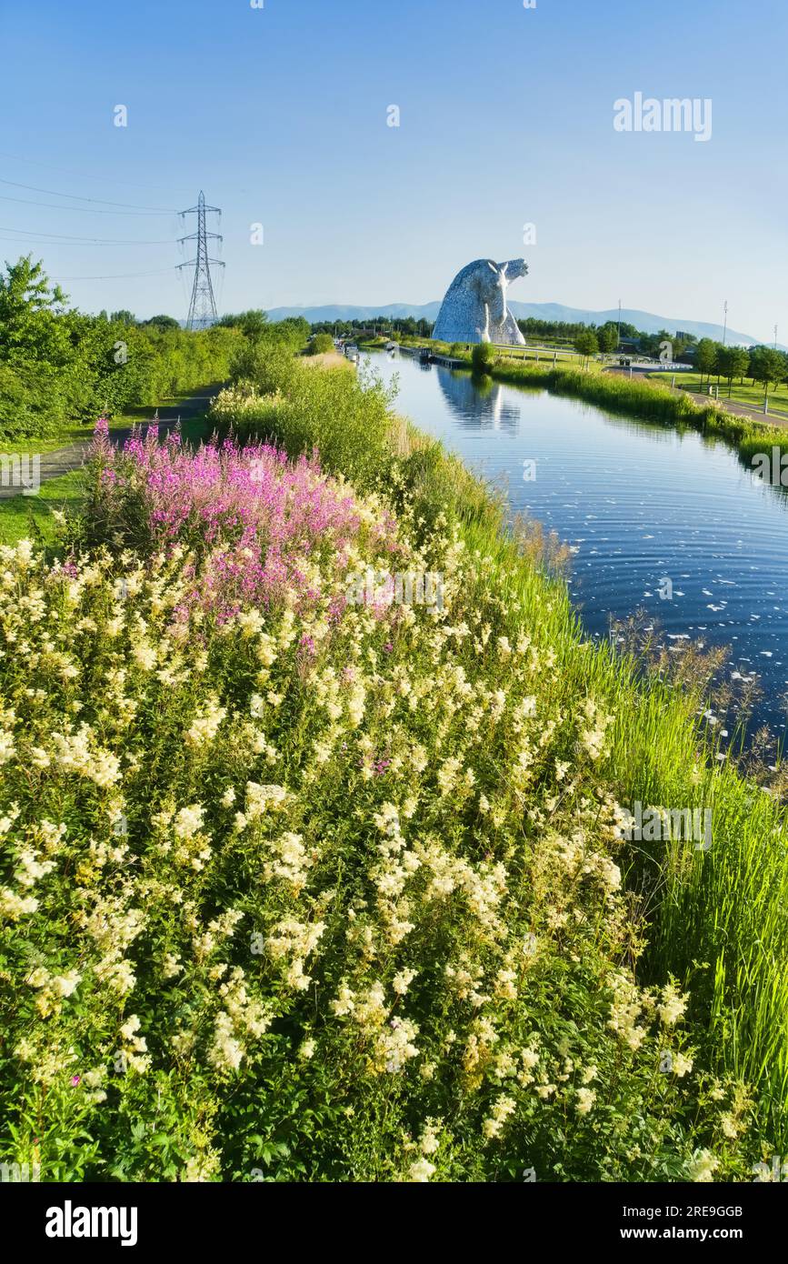 The Kelpies with bright and colourful wild flowers on Forth and Clyde