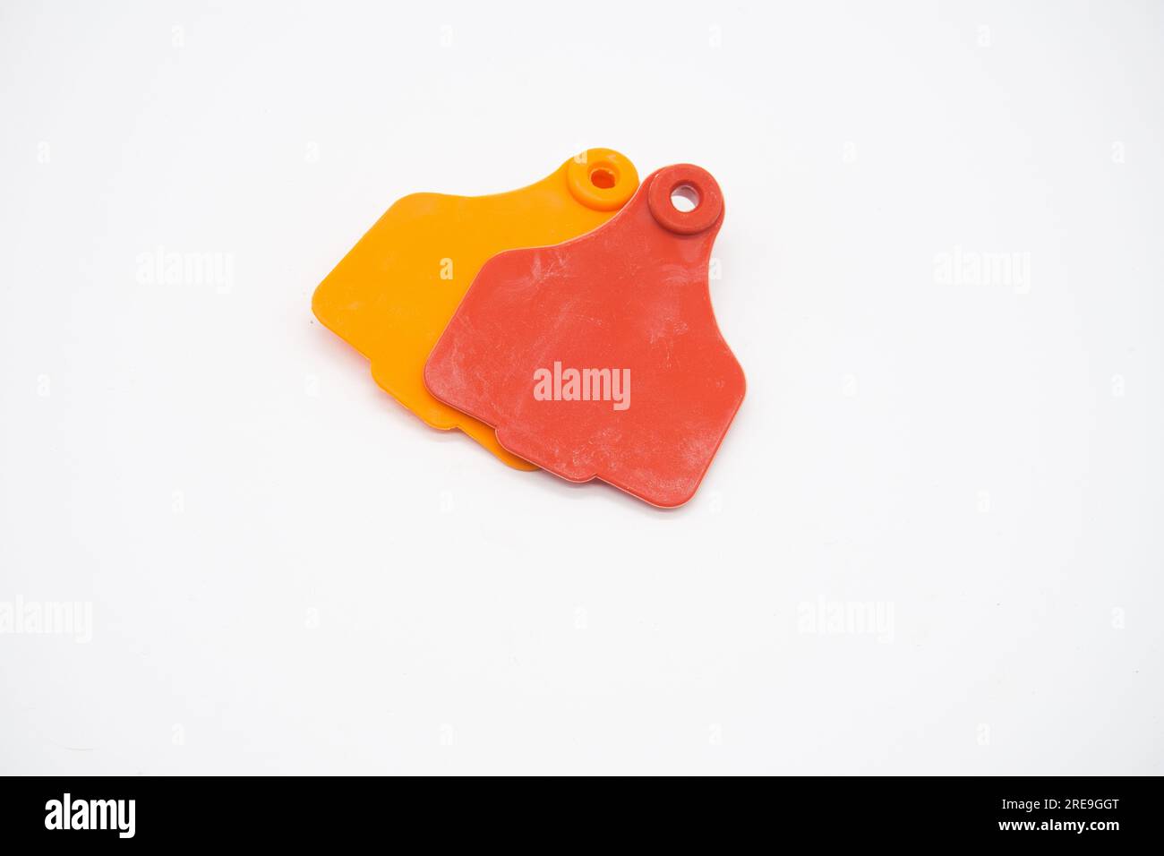 Red and Orange Dewlap Livestock Ear Tags used to identify and track farm livestock such as cows, isolated on white background Stock Photo