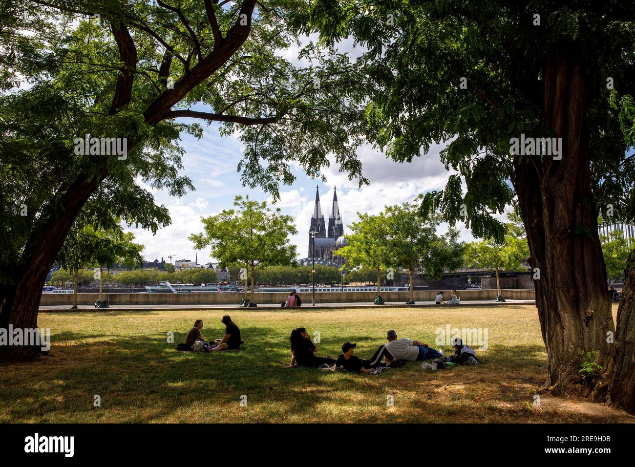 people lying under trees on the banks of the river Rhine in the district Deutz, view to the cathedral, Cologne, Germany. Menschen liegen unter Baeumen Stock Photo