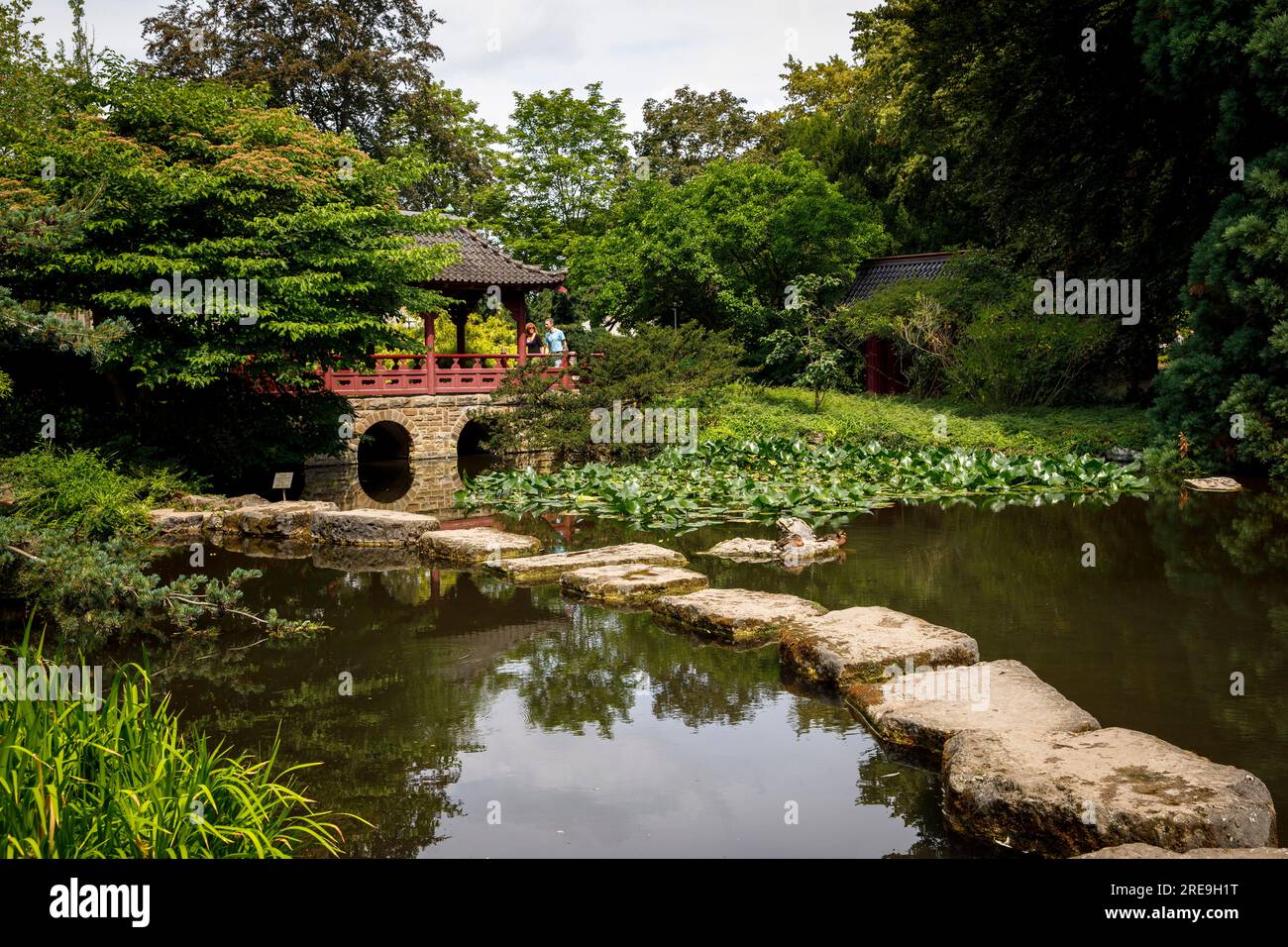 Japanese garden in Leverkusen, Mikado bridge, North Rhine