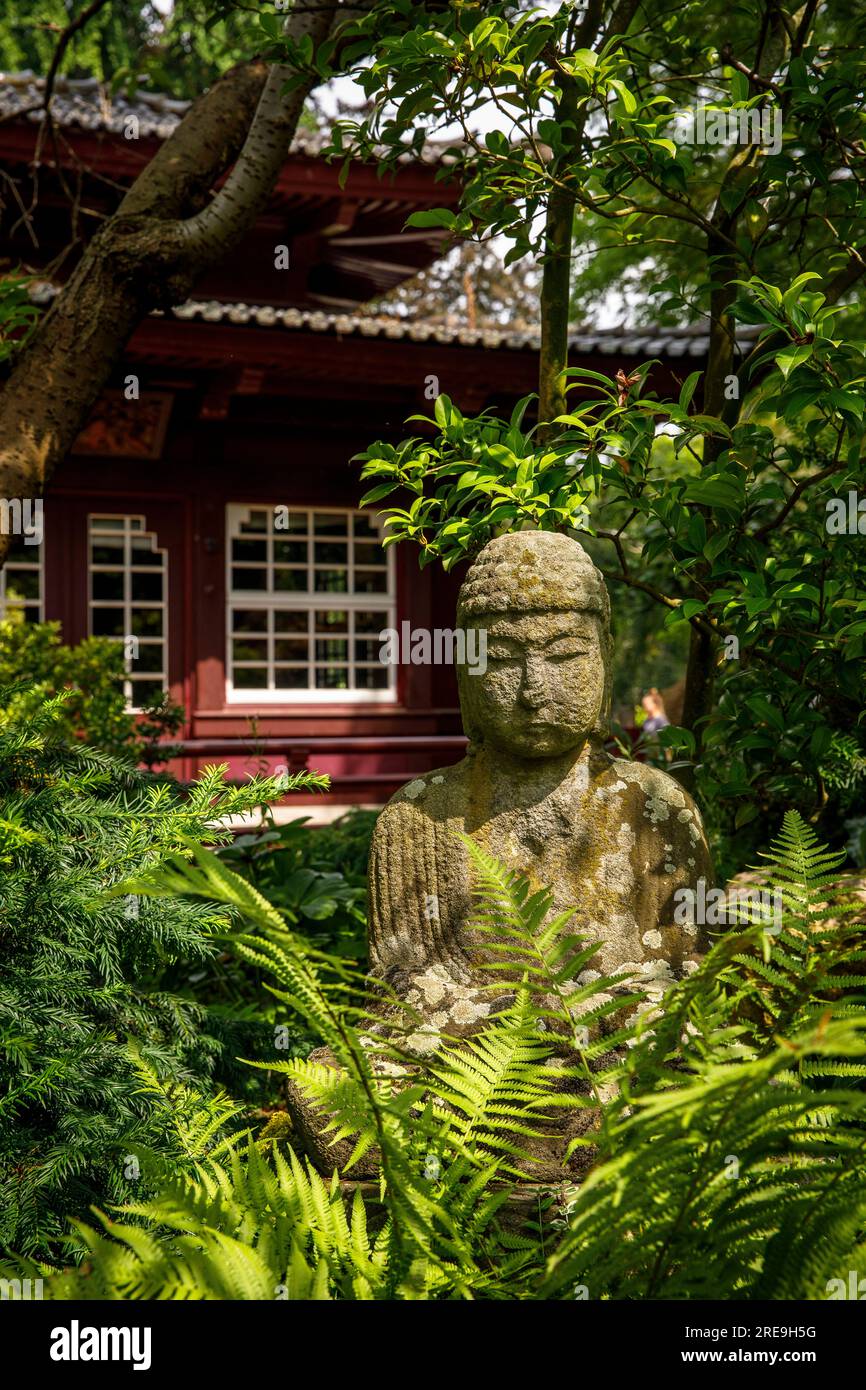 buddha in front of the teahouse at the Japanese garden in Leverkusen, North Rhine-Westphalia, Germany. Buddha vor dem Teehaus im Japanischen Garten in Stock Photo