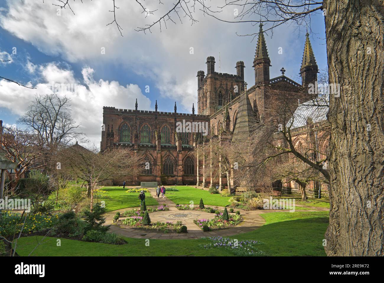 Chester cathedral in spring with daffodils in gardens,  City centre, Chester, England, UK Stock Photo