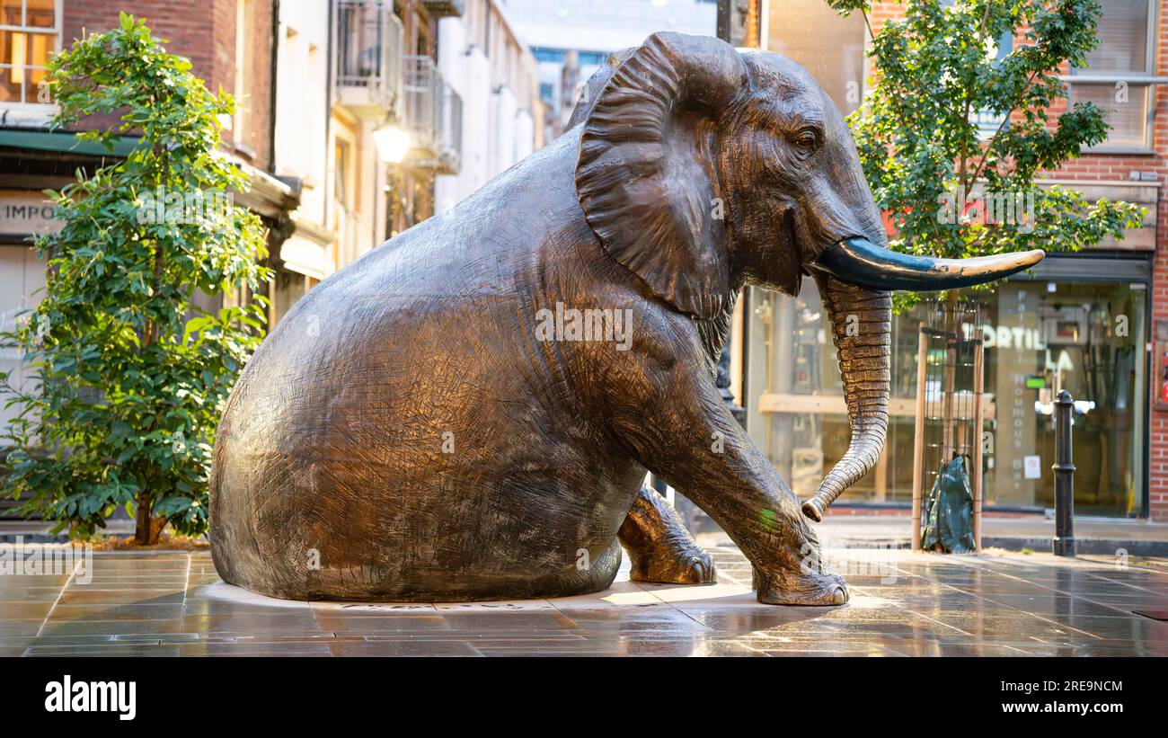 Elephant sculptures in Spitalfields Market in London, England Stock