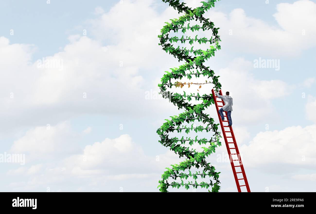 DNA therapy and Gene editing therapies as a double helix concept as a medical genetics doctor fixing defective or missing genes as human chromosomes a Stock Photo