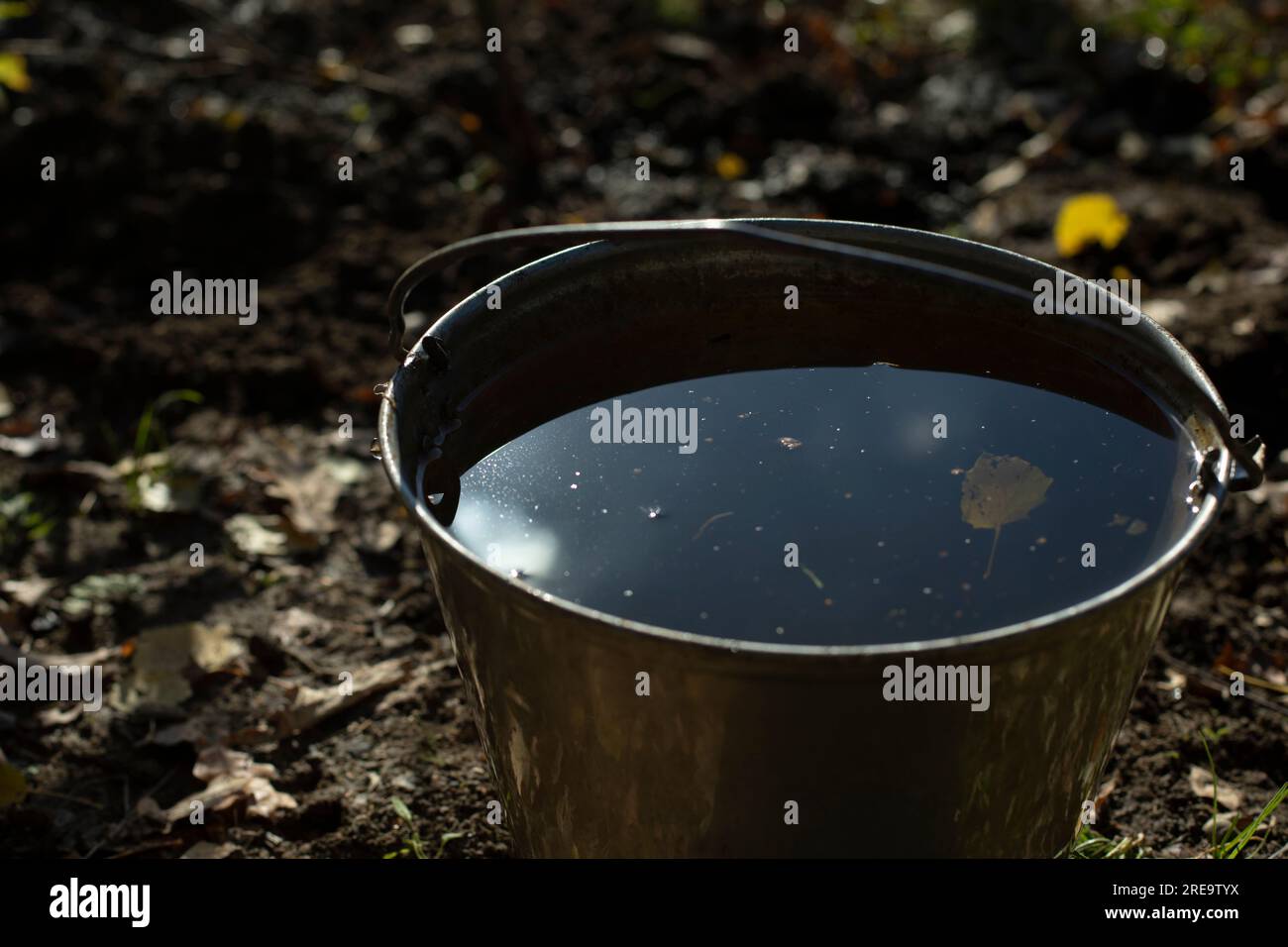 Water in bucket. Bucket in garden. Water for watering plants. Details
