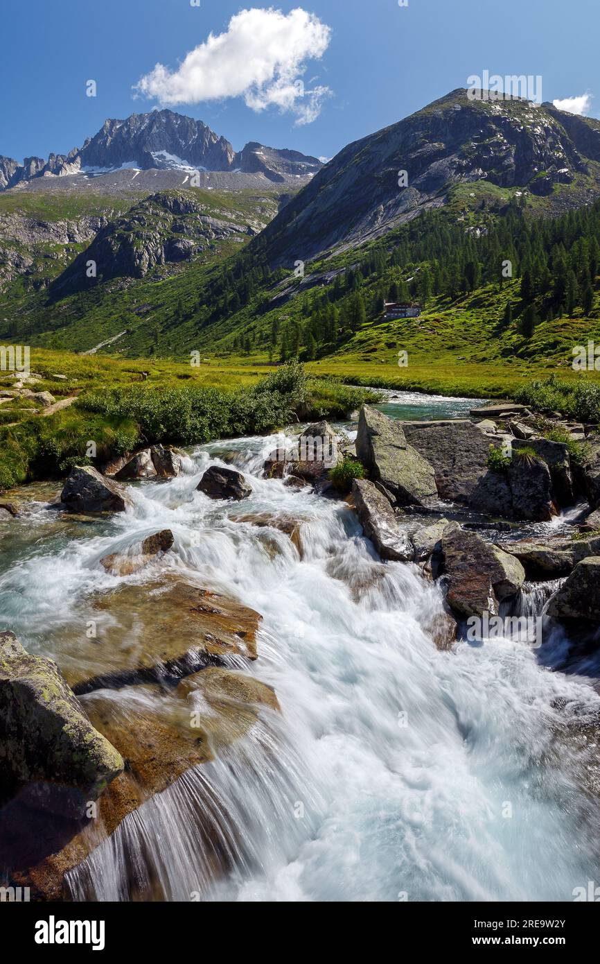 Moving water of river Chiese among the rocks. Val di Fumo alpine valley, green meadow. Carè Alto mountain peak. Trentino. Italian Alps. Europe. Stock Photo