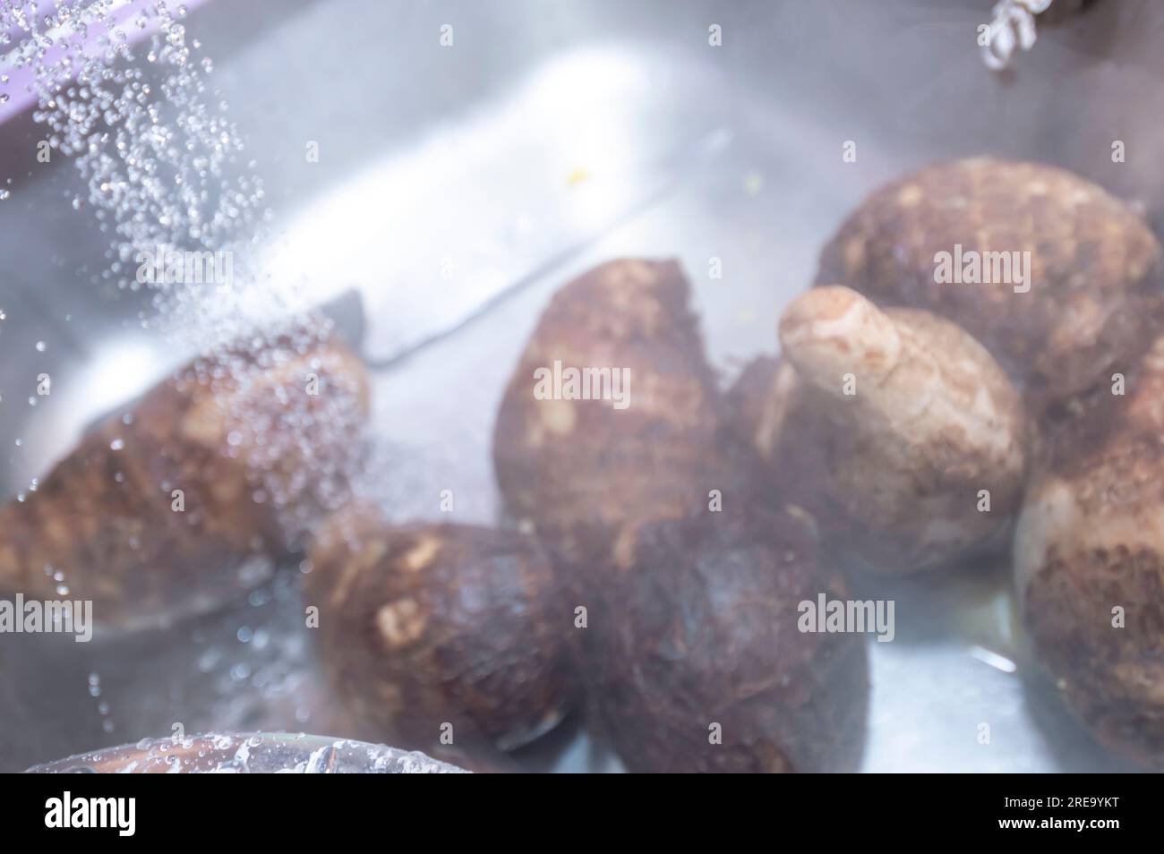 Yam being washed in a simple Brazilian kitchen,natural light. Stock Photo