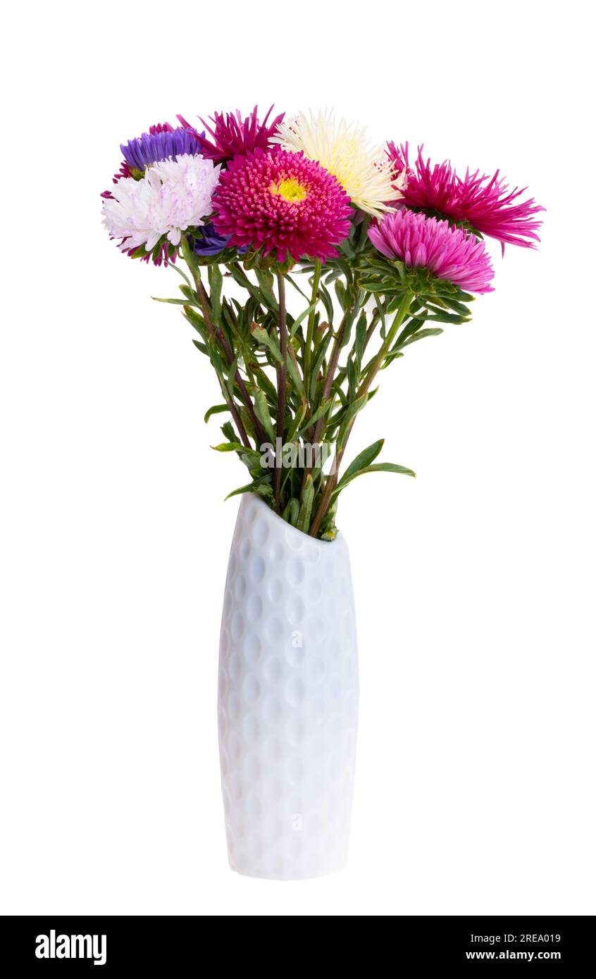 bouquet of aster flowers isolated on white background Stock Photo