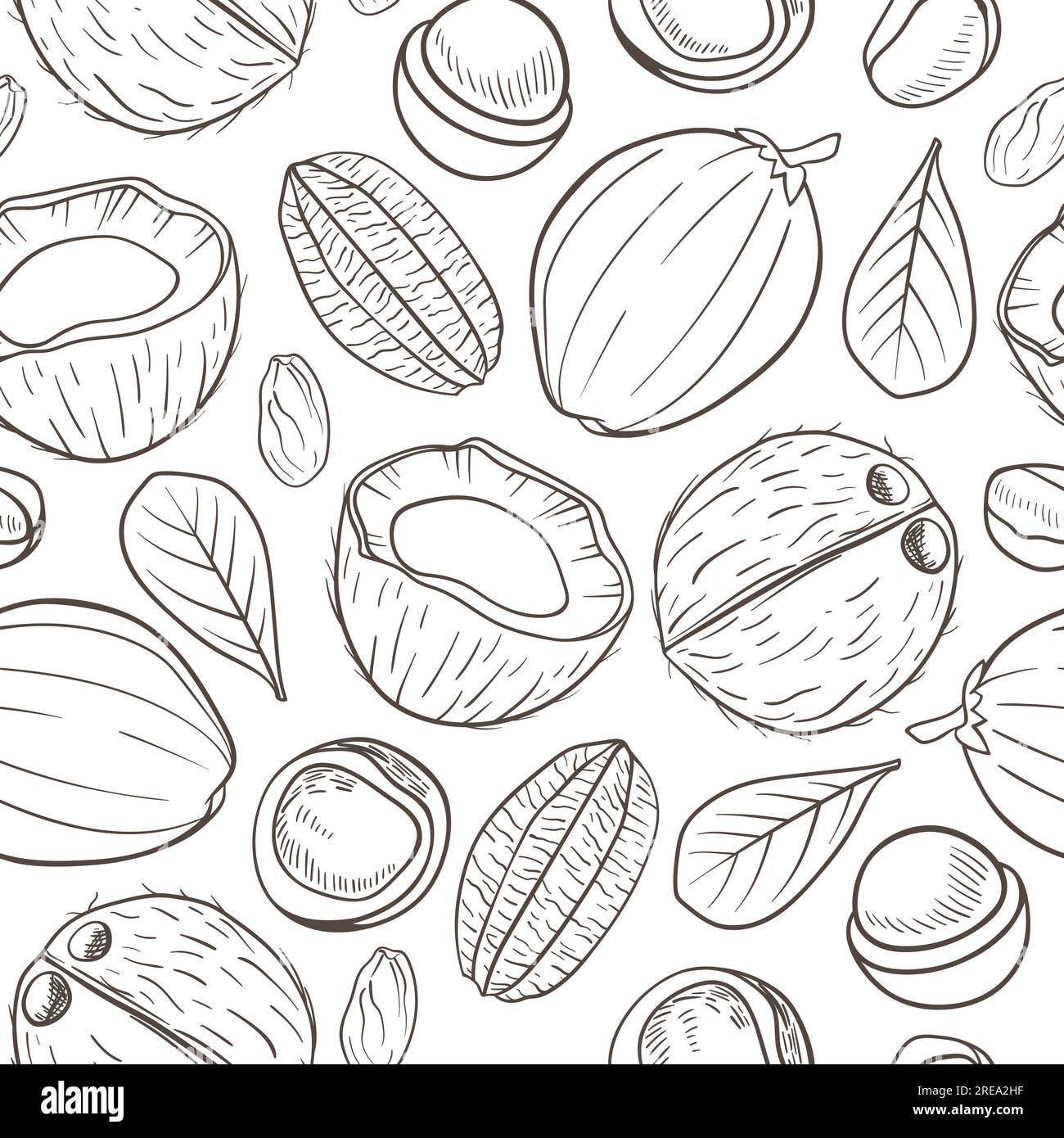 Hand drawn seamless pattern with coconut, Brazilian nut and macadamia