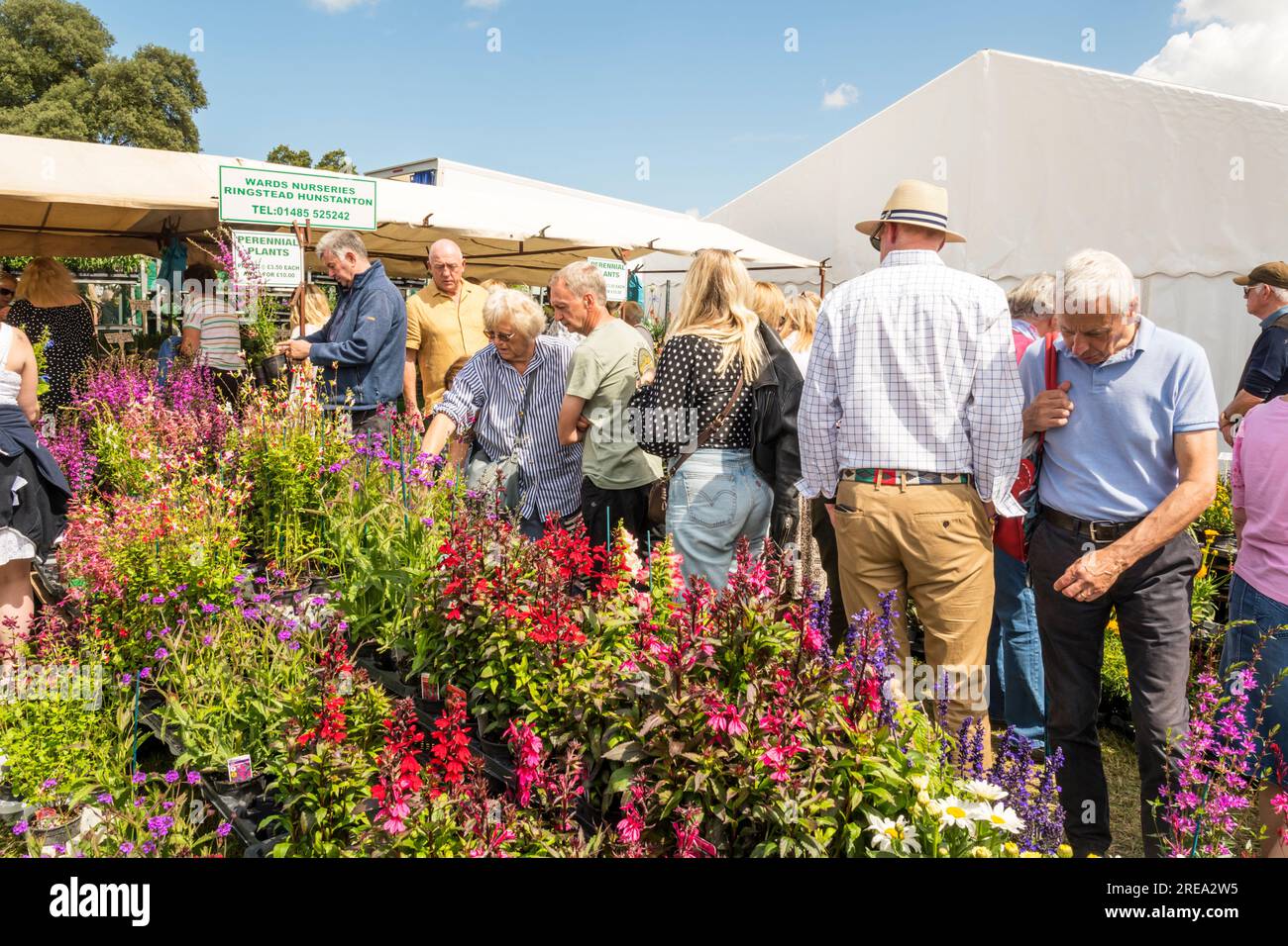 Sandringham Flower Show 2023. Visitors to the stand of Wards Nurseries. Stock Photo