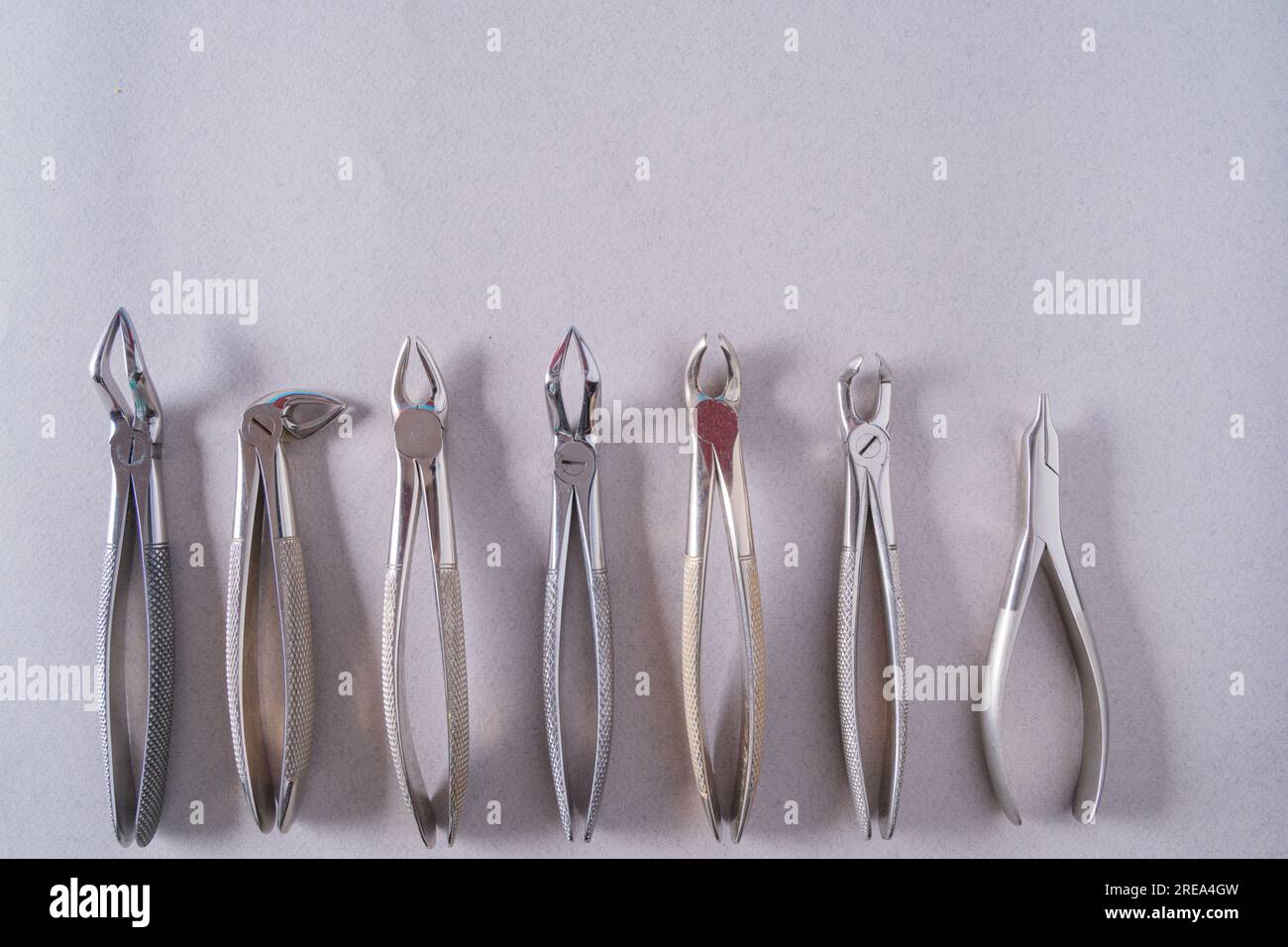 dental tools on gray background top view,flat lay Stock Photo