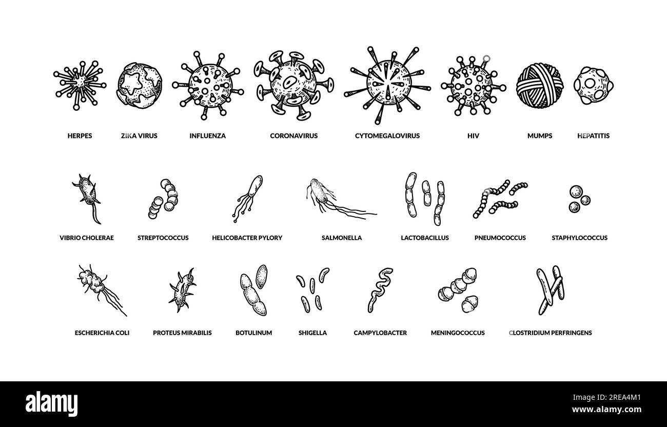 Set of hand drawn different types viruses of bactreias with names. Vector illustration in sketch style. Realistic scientific drawing Stock Vector