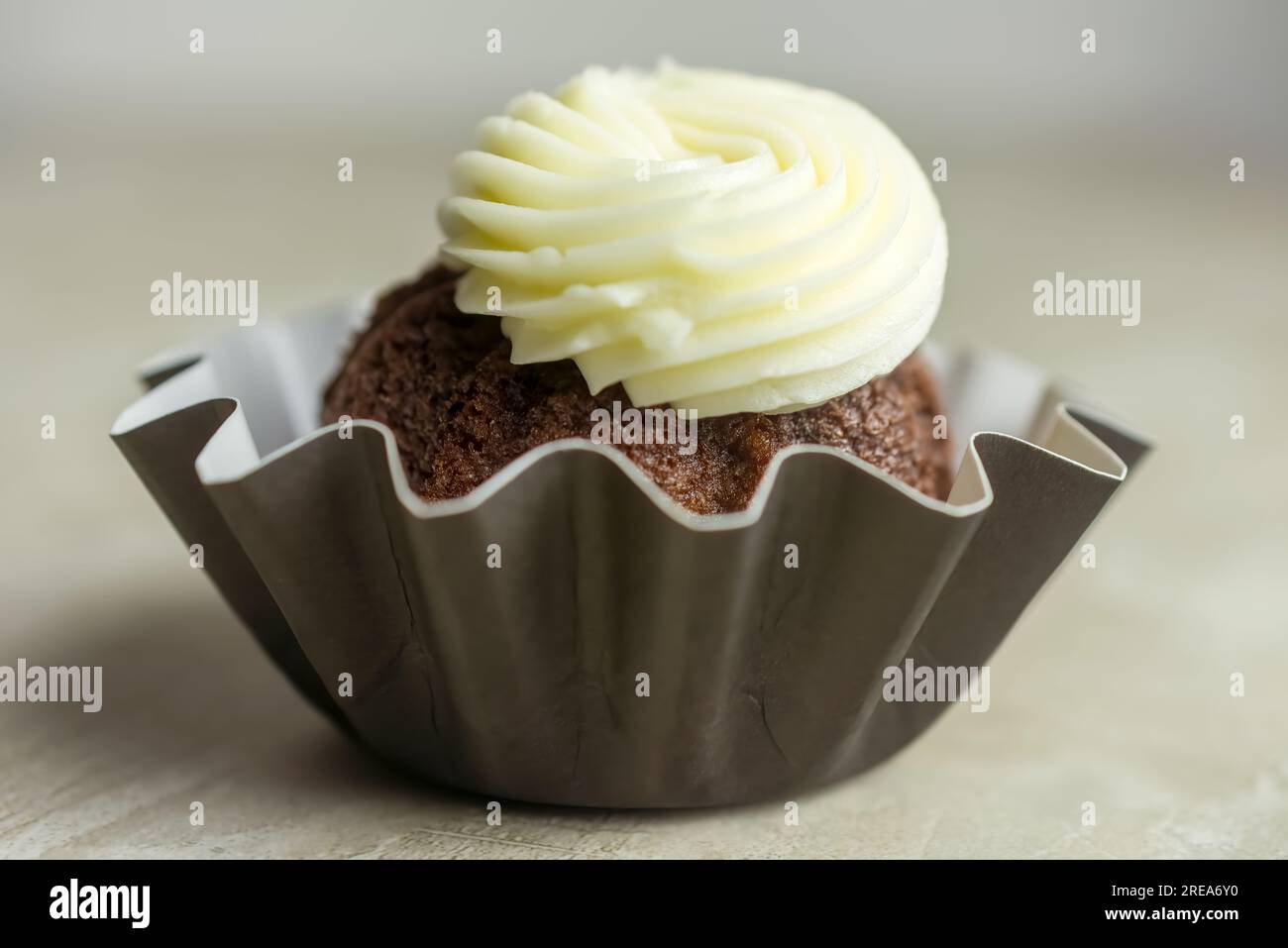 Chocolate cupcake with piped vanilla frosting. Stock Photo