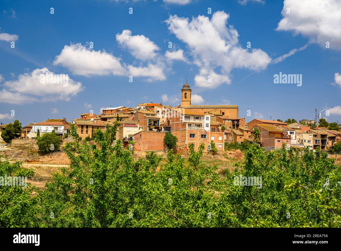 arbol-colina-hi-res-stock-photography-and-images-alamy