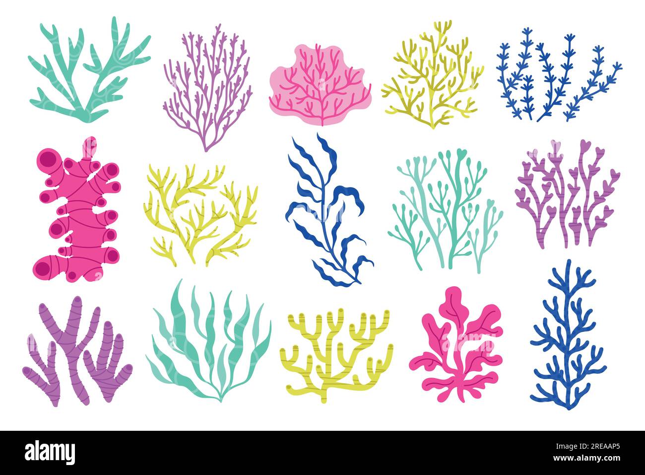 Seaweeds and algae. Cartoon colorful underwater plants, colorful exotic marine botany flora, coral and water plants. Vector isolated set Stock Vector
