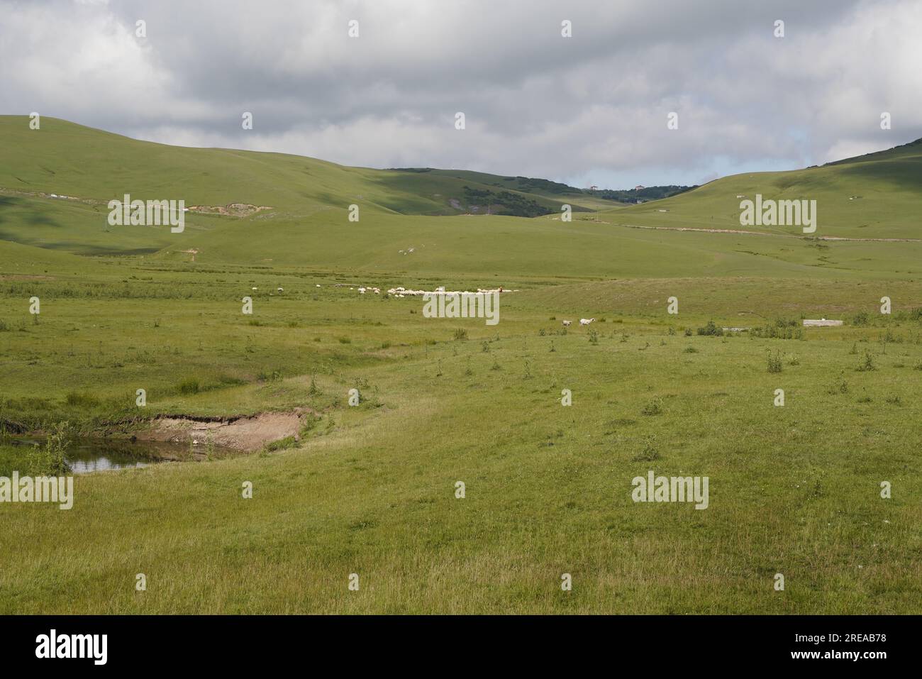 beautiful nature landscape plateau and meanders, background wallpaper ...