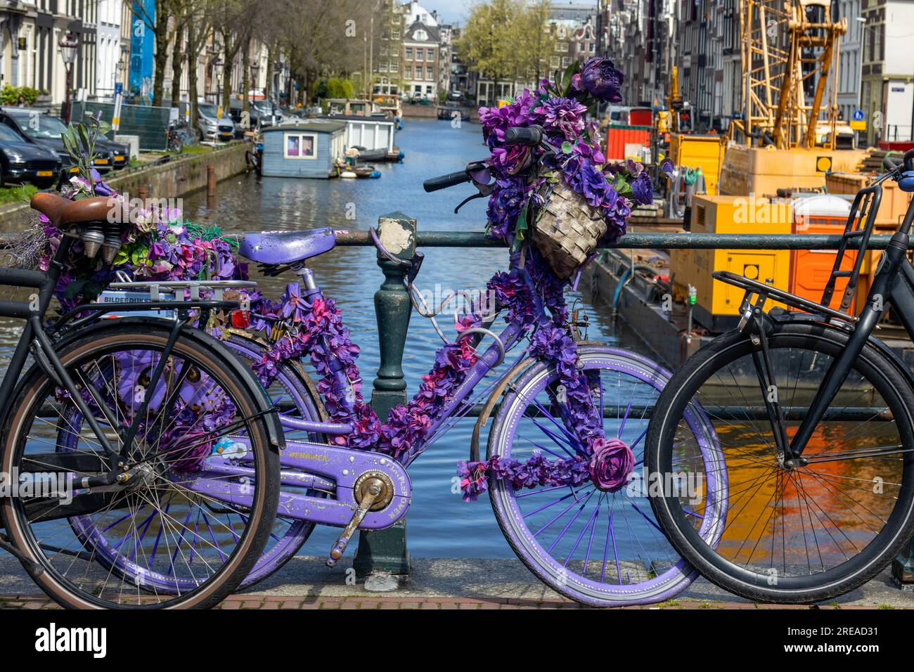 Purple bicycle 2024 with basket