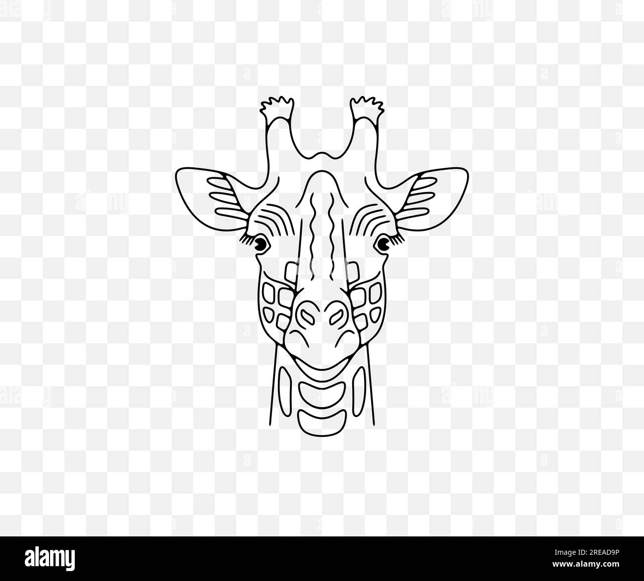 Giraffe head, animals and african savannah, linear graphic design. Nature, wildlife, safari, zoo, wilderness and fauna, vector design and illustration Stock Vector
