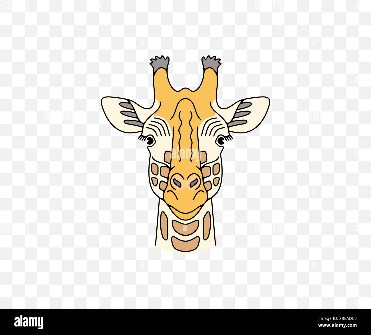 Giraffe head, animals and african savannah, colored graphic design. Nature, wildlife, safari, zoo, wilderness and fauna, vector design Stock Vector