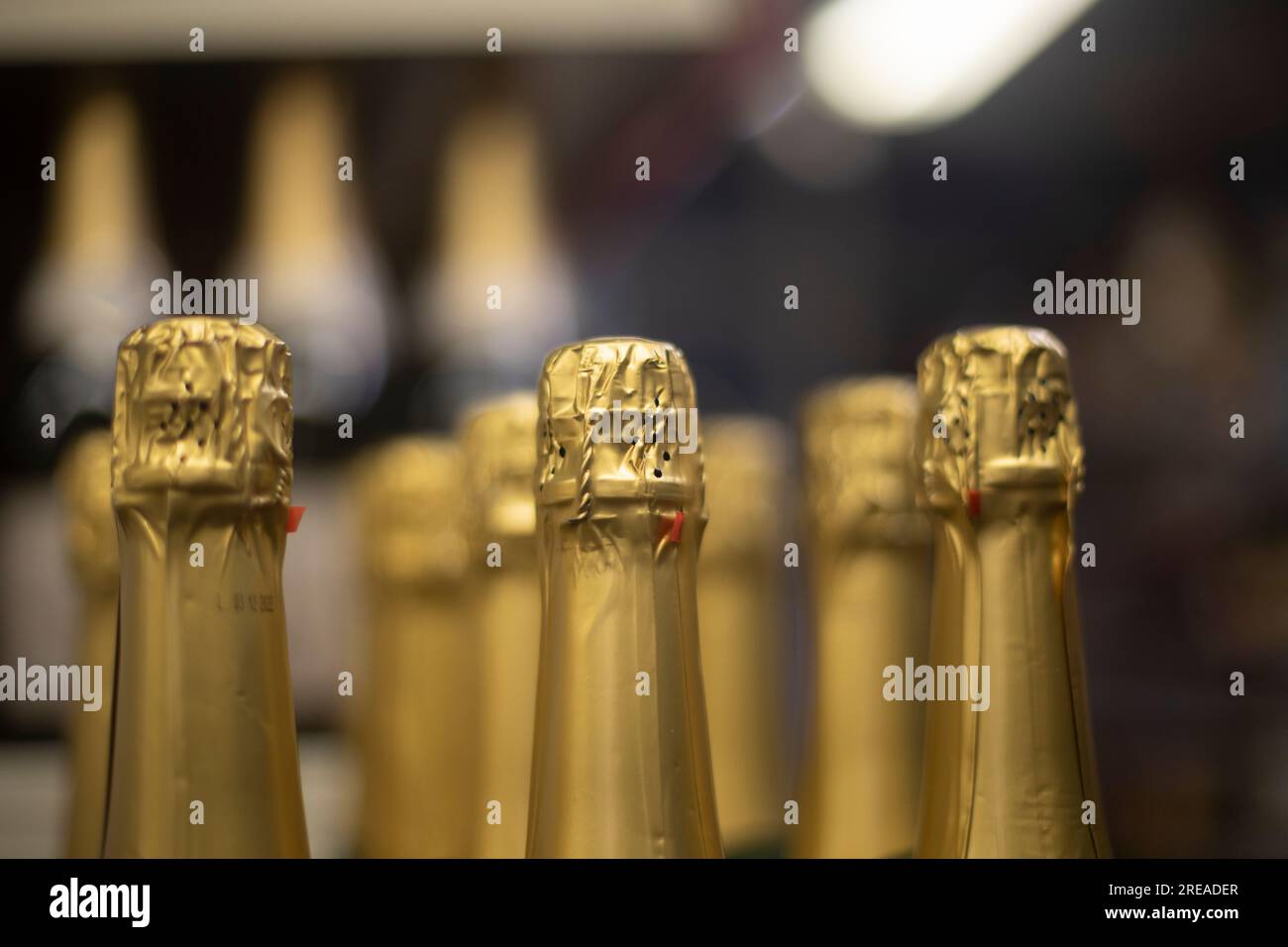Champagne with gold foil. Bottles of wine in store. Alcoholic beverage stands in row. Bottle sales details. Stock Photo