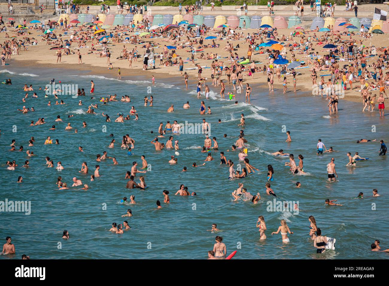 Many people bathing on a beach. Stock Photo