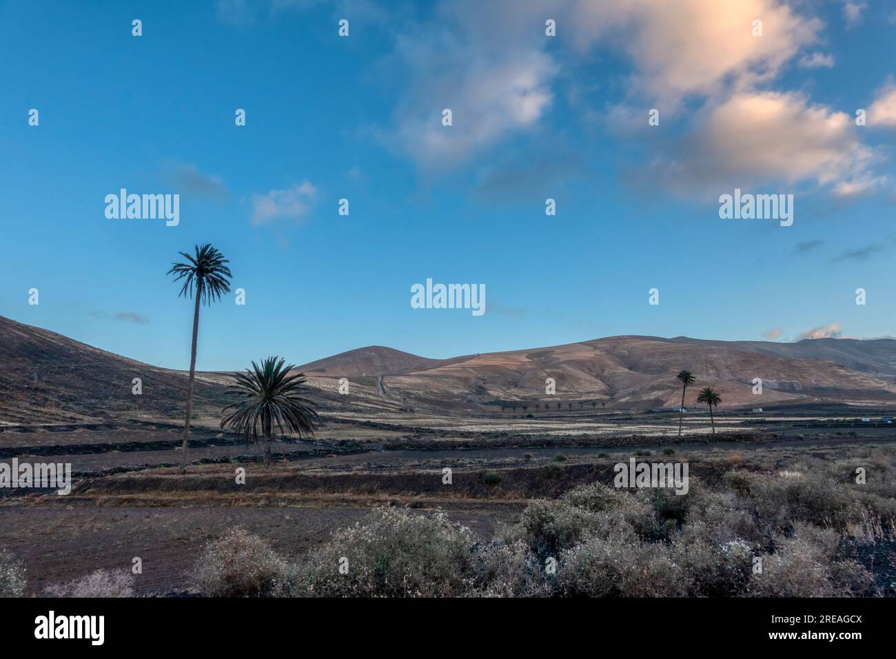 Nice landscape with volcanic soil in Yaiza, Lanzarote island, Las Palmas province, Canary Islands, Spain Stock Photo