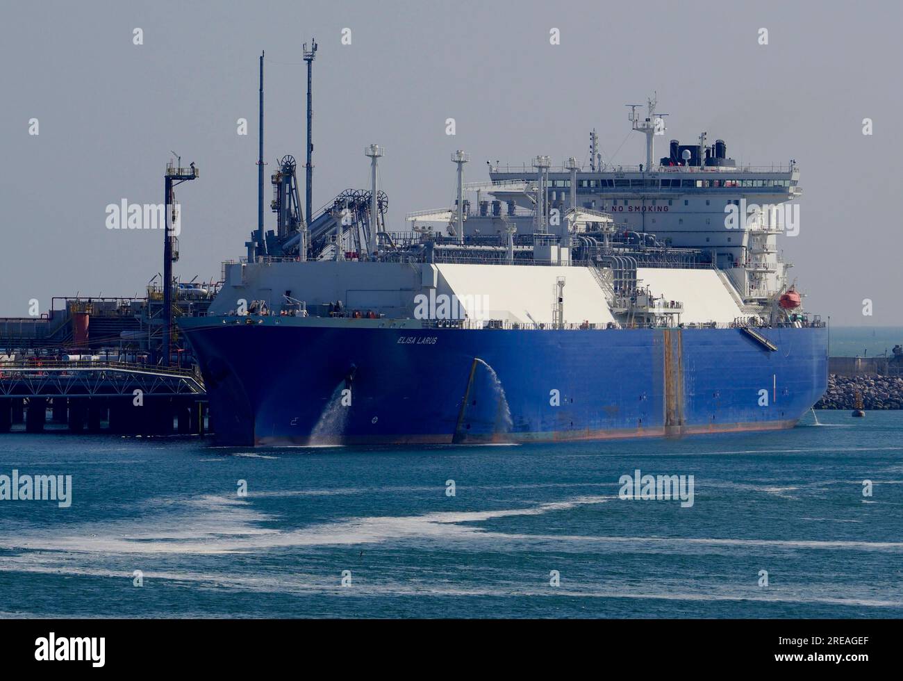 AJAXNETPHOTO. 3RD MAY, 2023. DUNKERQUE, FRANCE. - LNG CARRIER IN PORT - THE LIQUID NATURAL GAS CARRIER ELISA LARUS MOORED AT THE DISCHARGE TERMINAL. PHOTO:JONATHAN EASTLAND/AJAX REF:M1X 230805 5030149 Stock Photo