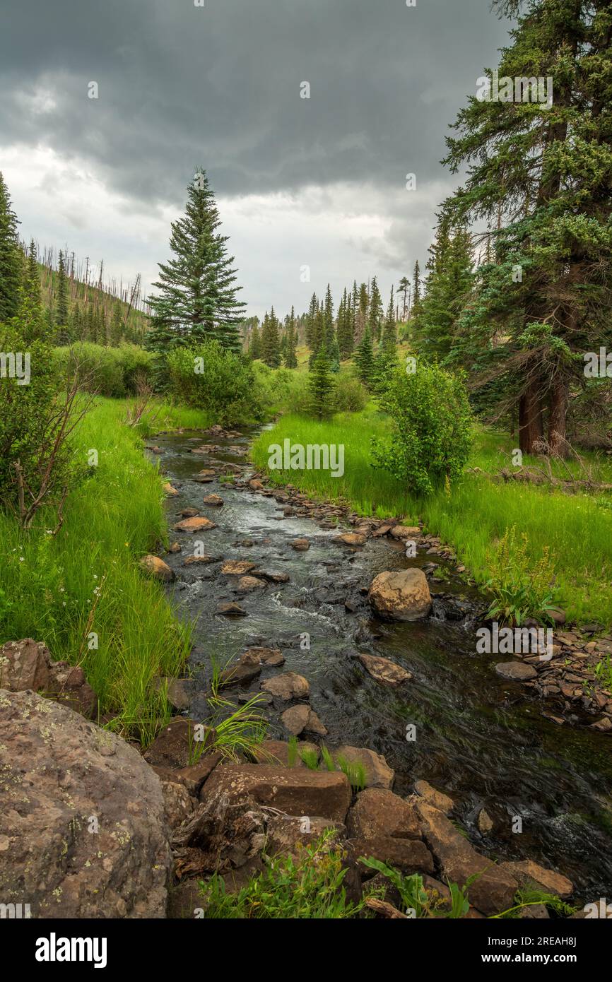 The west fork of the Black River is paralled by the Thompson Trail 629