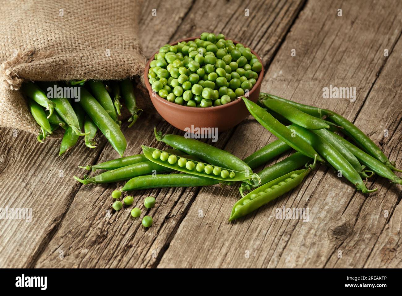 Pods of fresh green peas in a burlap bag, shelled peas in a clay bowl, sweet organic green peas in closed and open pods on an aged wooden background. Stock Photo