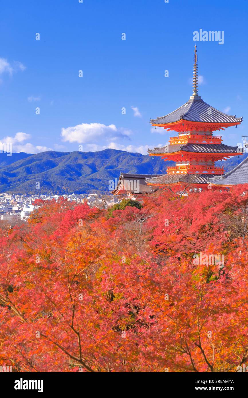 Kiyomizu Temple in Autumn Stock Photo - Alamy