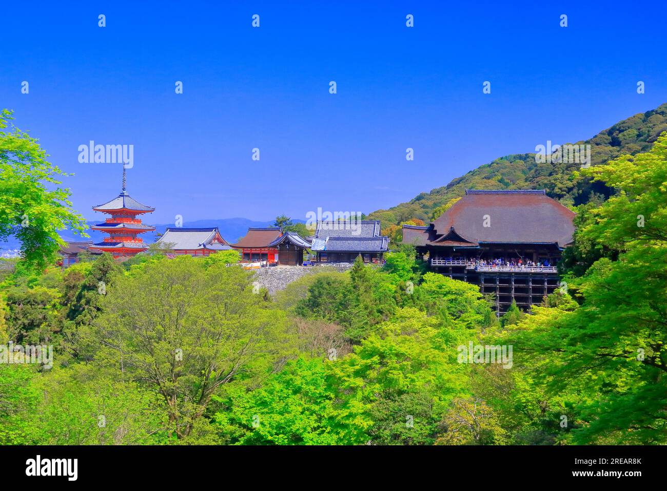 Kiyomizudera in tender green Stock Photo Alamy