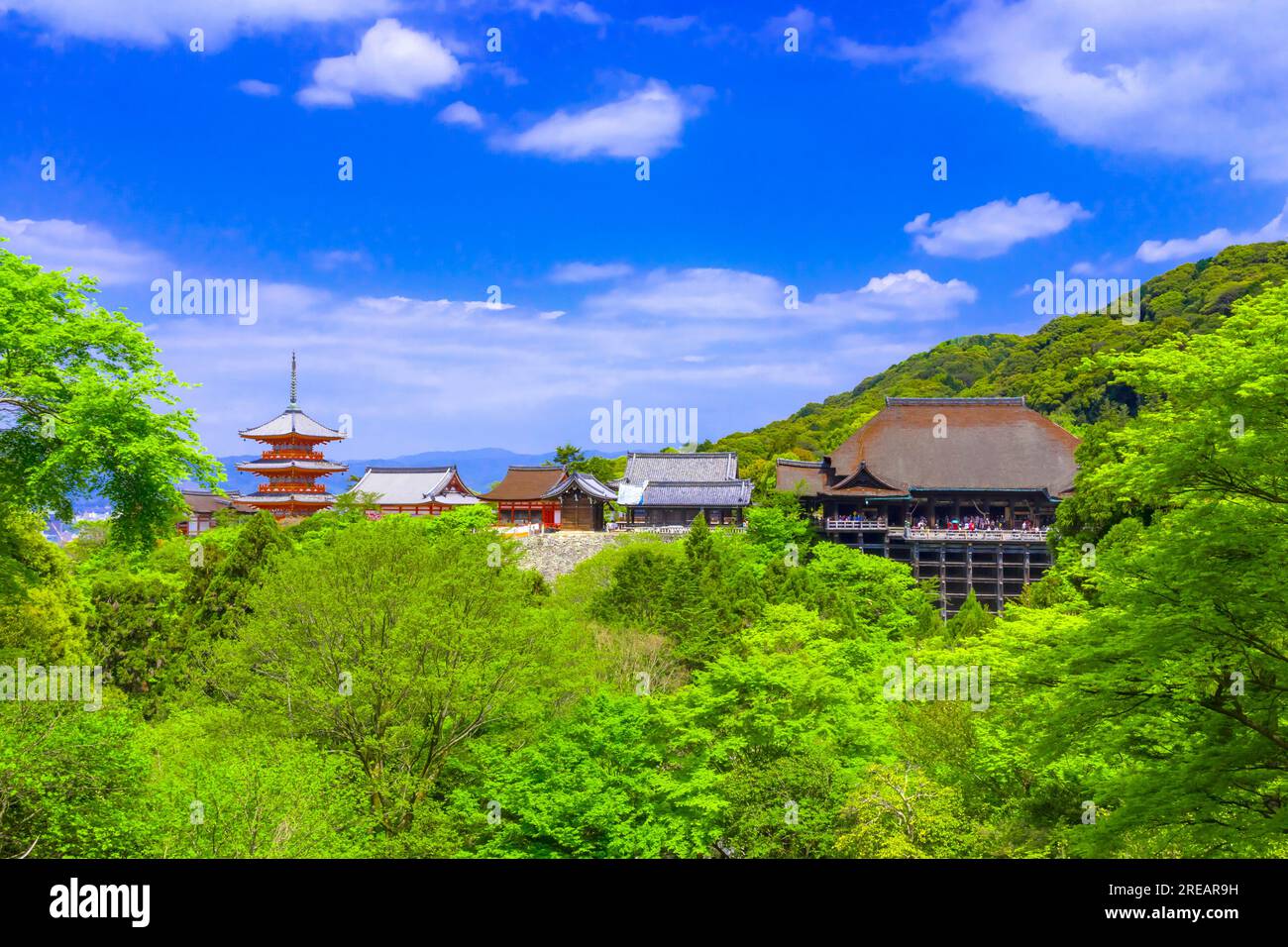 Kiyomizudera in tender green Stock Photo Alamy
